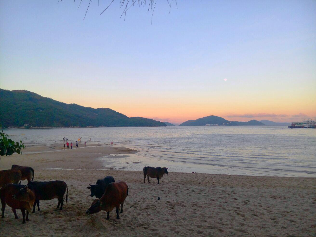 Silvermine Beach Resort Hongkong Exteriér fotografie